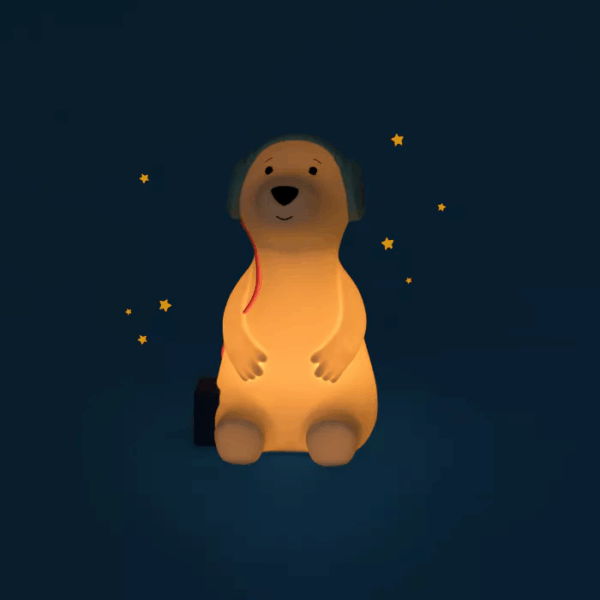 veilleuse chien enfant moulin roty allumée