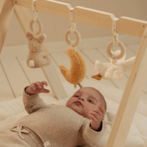 Baby Gym Newborn Naturals dans une chambre bébé au décor doux