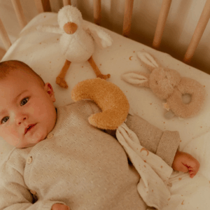 Gros plan sur peluche et accessoires du coffret bébé Newborn Naturals